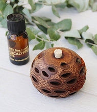 Load image into Gallery viewer, Banksia Mini Aroma Pod
