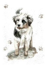 Load image into Gallery viewer, Card - Mako Australian Shepherd
