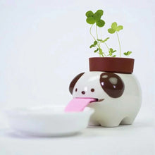 Load image into Gallery viewer, Seishin- Peropon Licking Animal Plant Cultivation Kit 
