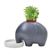 Load image into Gallery viewer, Elephant Planter [col:dark]
