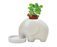 Load image into Gallery viewer, Elephant Planter [col:light]
