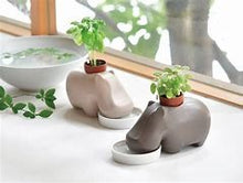 Load image into Gallery viewer, Hippopotamus Planter [col:dark]
