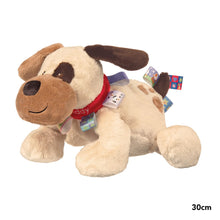 Load image into Gallery viewer, Taggies Buddy Dog Soft Toy
