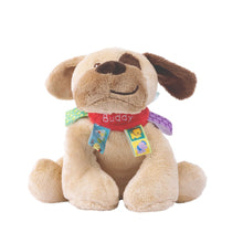 Load image into Gallery viewer, Taggies Buddy Dog Soft Toy
