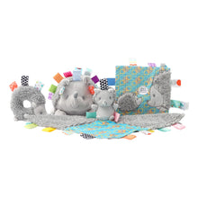 Load image into Gallery viewer, Taggies Heather Hedgehog Soft Toy, 8&quot; Grey
