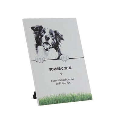 Bramble Bay Pet Plaque- Border Collie 