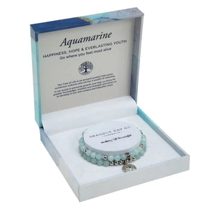 Duo Bracelet Set- Aquamarine Rhodium