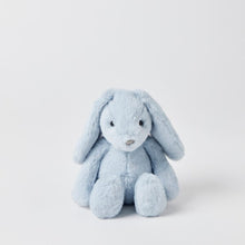 Load image into Gallery viewer, Pale Blue Bunny Small 
