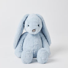 Load image into Gallery viewer, Pale Blue Bunny Medium
