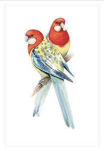 Card- The Show Stoppers Rosellas By Nabide Dudek 