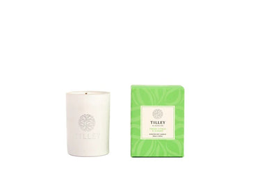 Petite Candle - Fresh Citrus & Ginger