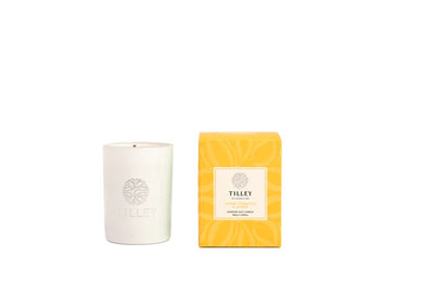 Petite Candles - Suede Tobacco & Amber