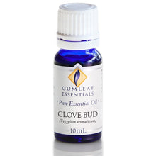 Load image into Gallery viewer, Essential Oil - Clove Bud
