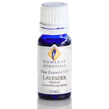 Load image into Gallery viewer, Essential Oil - Lavender French
