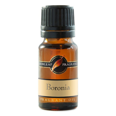 Gumleaf Fragrance Oil - Boronia