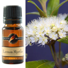 Load image into Gallery viewer, Gumleaf Fragrance Oil - Lemon Myrtle
