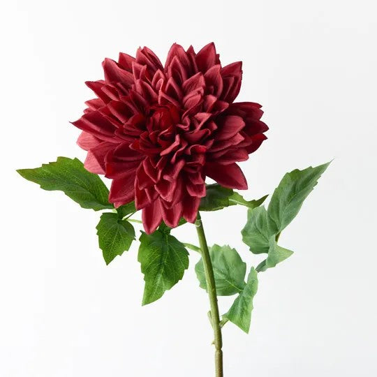 Dahlia Dark Red 71cm