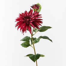 Load image into Gallery viewer, Dahlia Spray - Fuschia 74cml X 20 Cmd 
