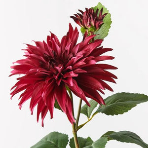 Dahlia Spray - Fuschia 74cml X 20 Cmd 