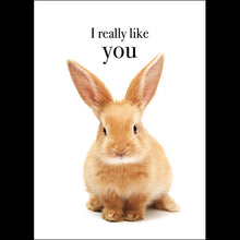 Load image into Gallery viewer, I Really Like You- Rabbit Greeting Card 
