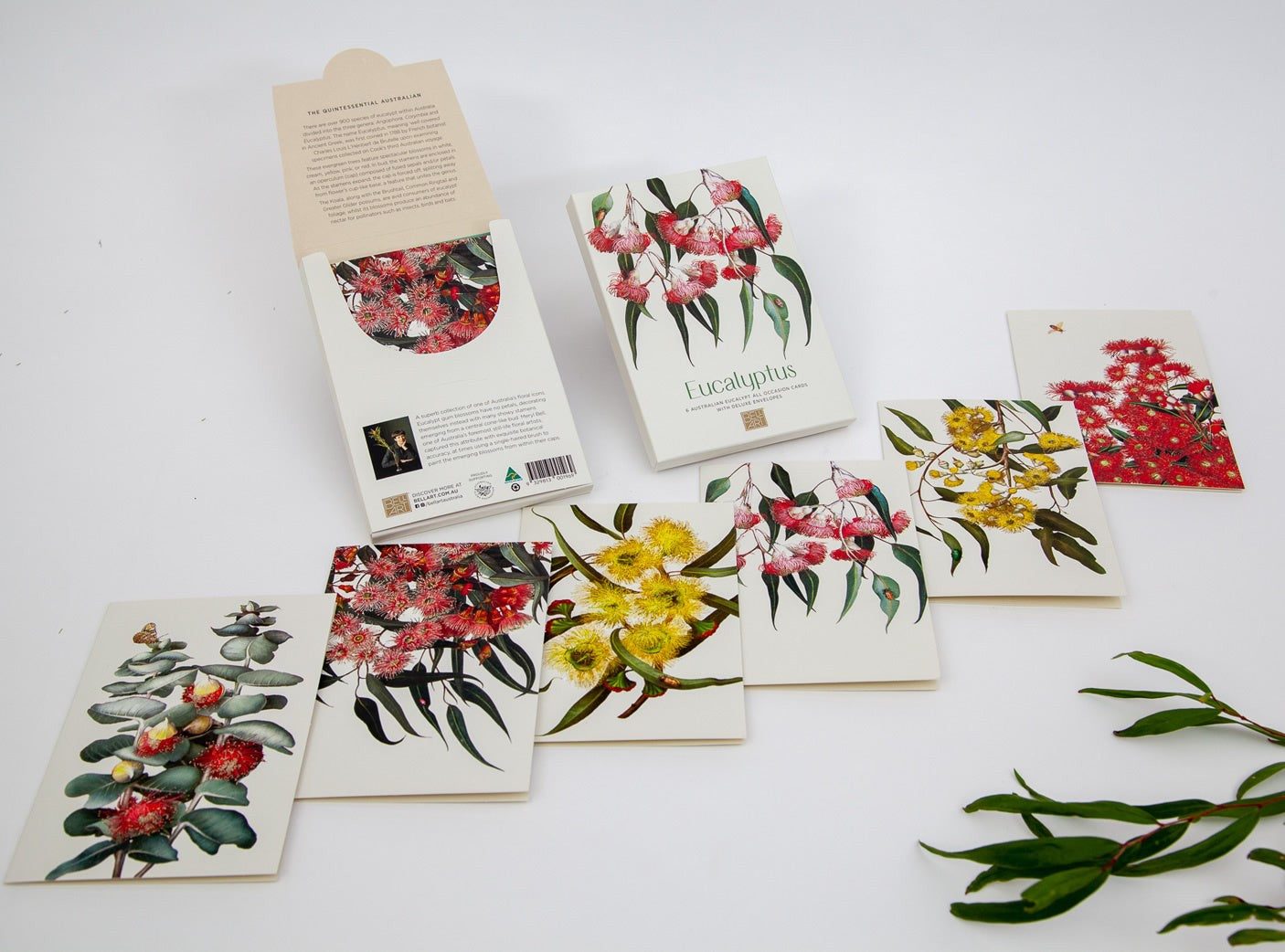 Boxed Cards- Eucalyptus Design