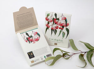 Boxed Cards- Eucalyptus Design