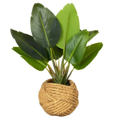 Banana Tree Real Touch 40cm Pot