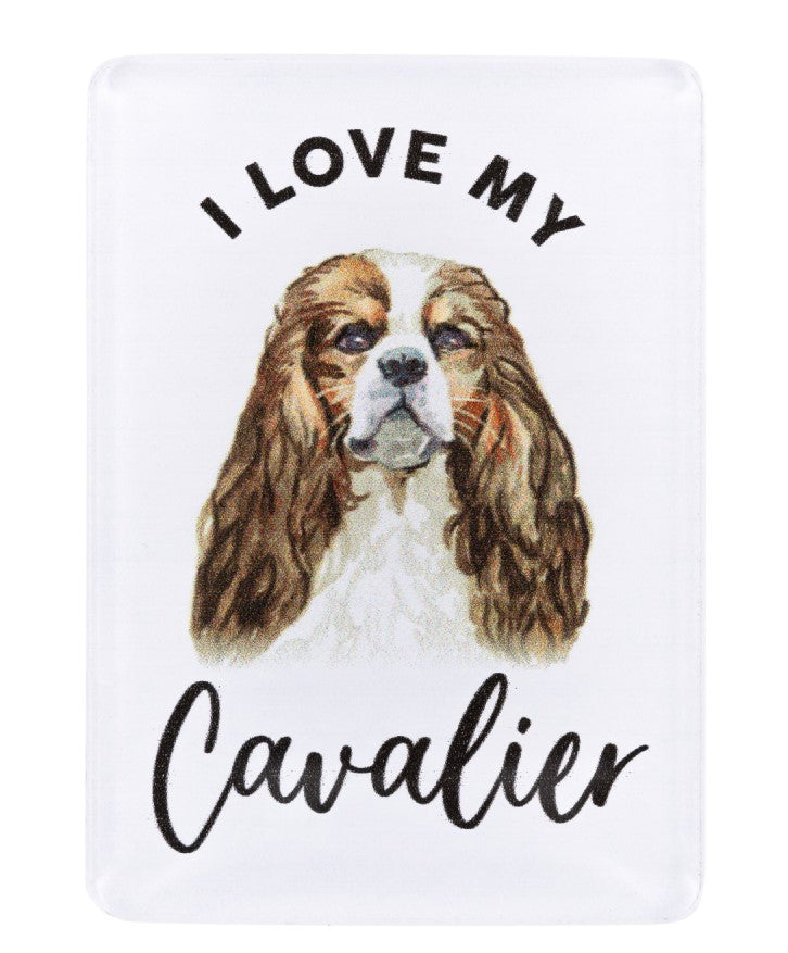 Pet Lovers Magnet - Cavalier 