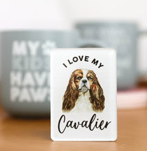 Load image into Gallery viewer, Pet Lovers Magnet - Cavalier 
