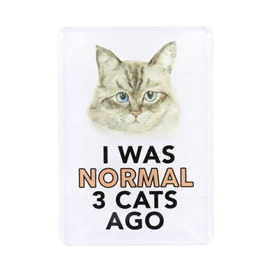 Pet Lovers Magnets- I Was Normal 3 Cats Ago 