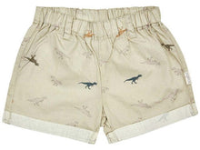 Load image into Gallery viewer, Baby Shorts Dinosauria [siz:1]
