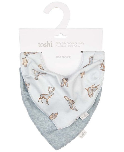 Baby Bib Bandana Story Arctic