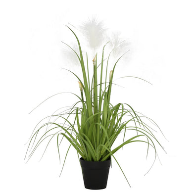 Reed Grass Plastic Pot