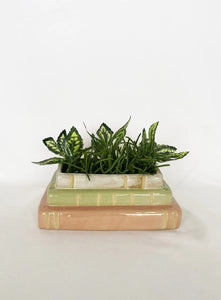 Aspen Book Planter Pinkgreen White-s