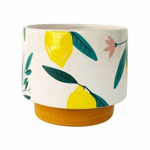 Evergreen Ceramic Planter Green Yellow & White 15cm