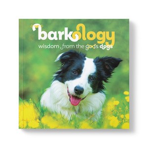 Barkology - Wisdom From The Dogs 