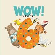 Wow! You're Six Birthday Book