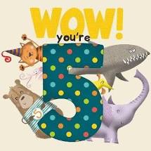 Wow! You're Five Birthday Book 