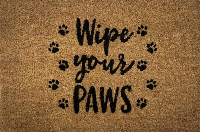 Wipe Your Paws - Doormat