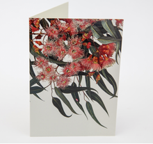 Load image into Gallery viewer, Boxed Cards- Eucalyptus Design
